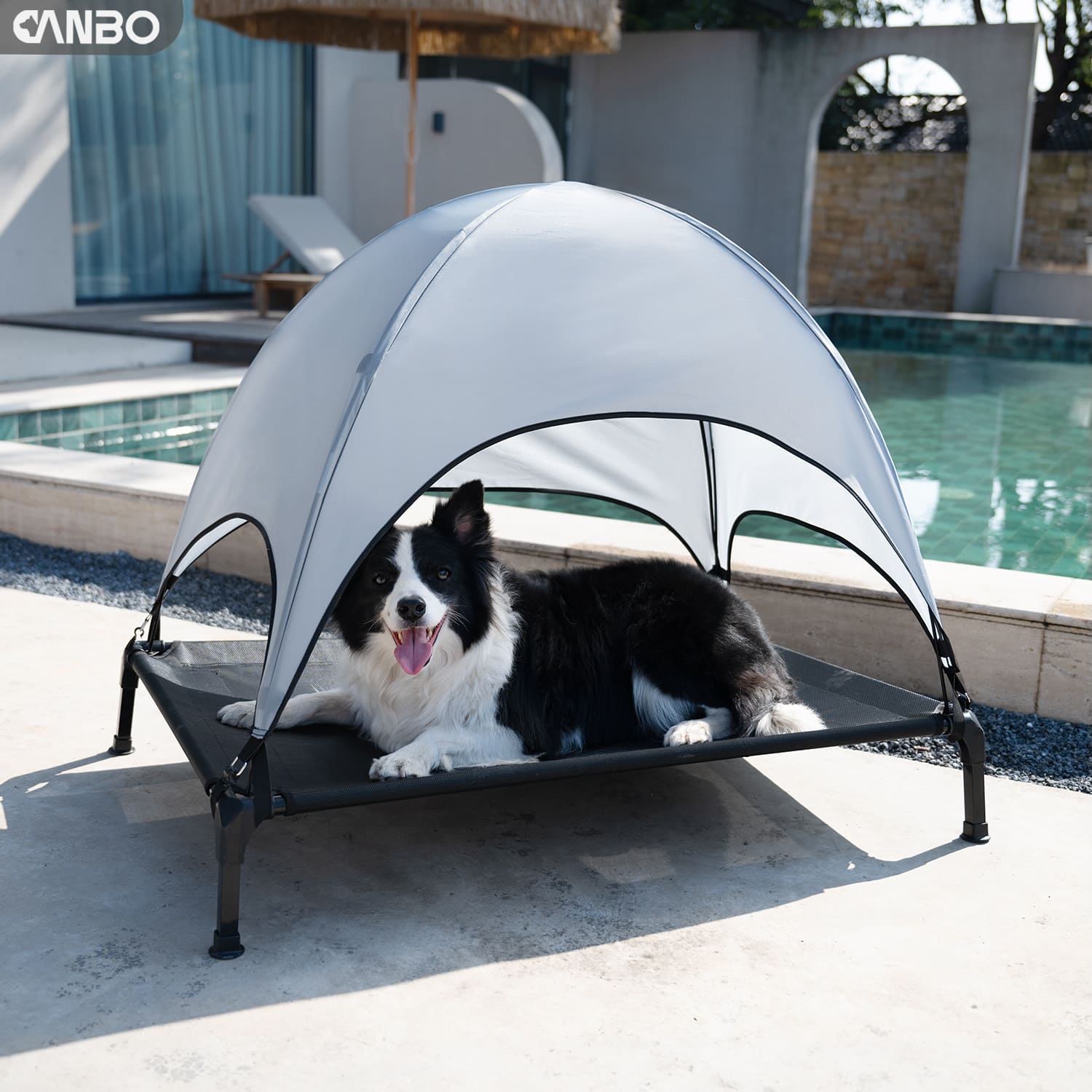 Foldable pet stairs for indoor mobility